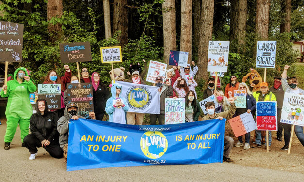 All Creatures Animal Hospital workers vote to unionize